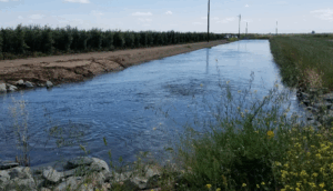 Delta-Mendota Subbasin GSP Development and SGMA Implementation, San Luis & Delta-Mendota Water Authority